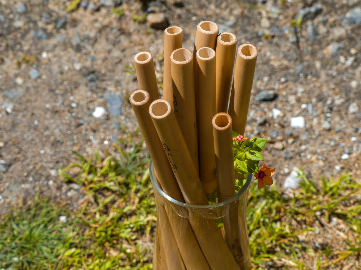 Paille en bambou