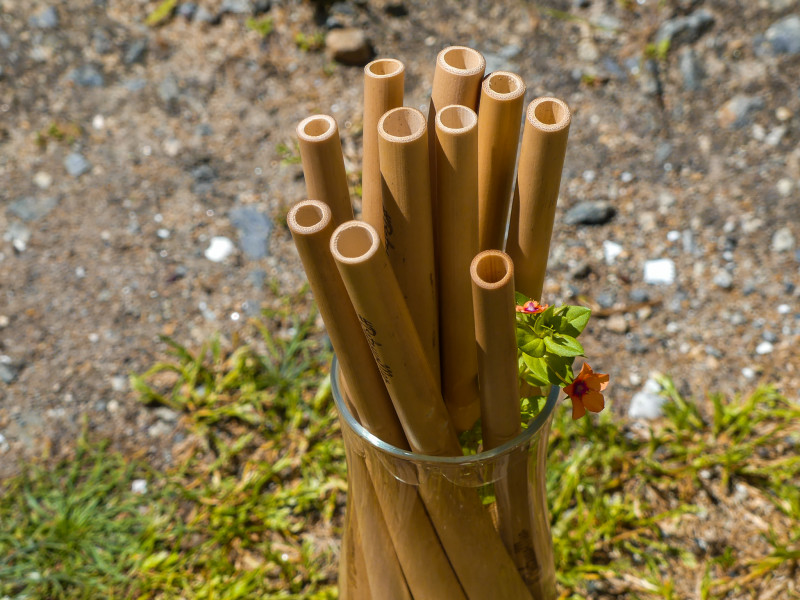 Paille en bambou
